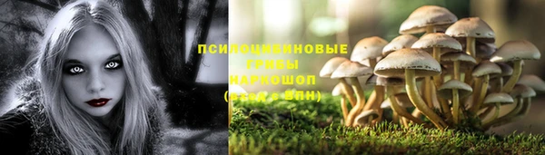 ПСИЛОЦИБИНОВЫЕ ГРИБЫ Алзамай