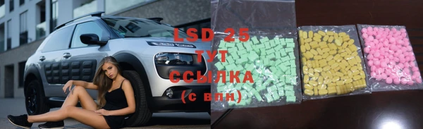 ПСИЛОЦИБИНОВЫЕ ГРИБЫ Алзамай