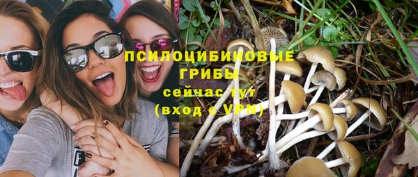 хмурый Алексин