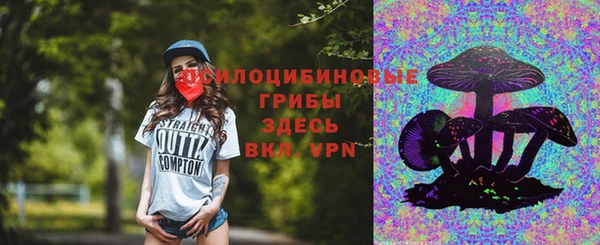 ПСИЛОЦИБИНОВЫЕ ГРИБЫ Алзамай