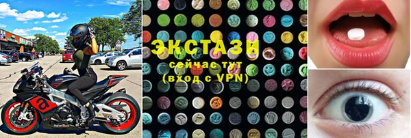 хмурый Алексин