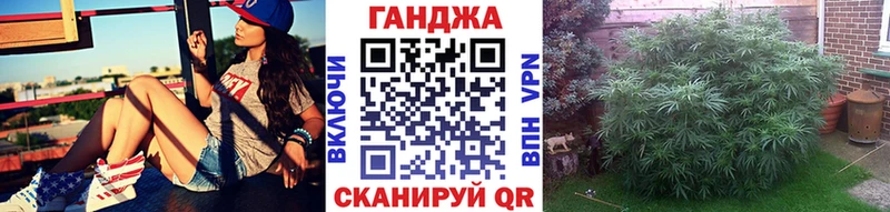 Бошки Шишки план  купить наркотики цена  Бодайбо 